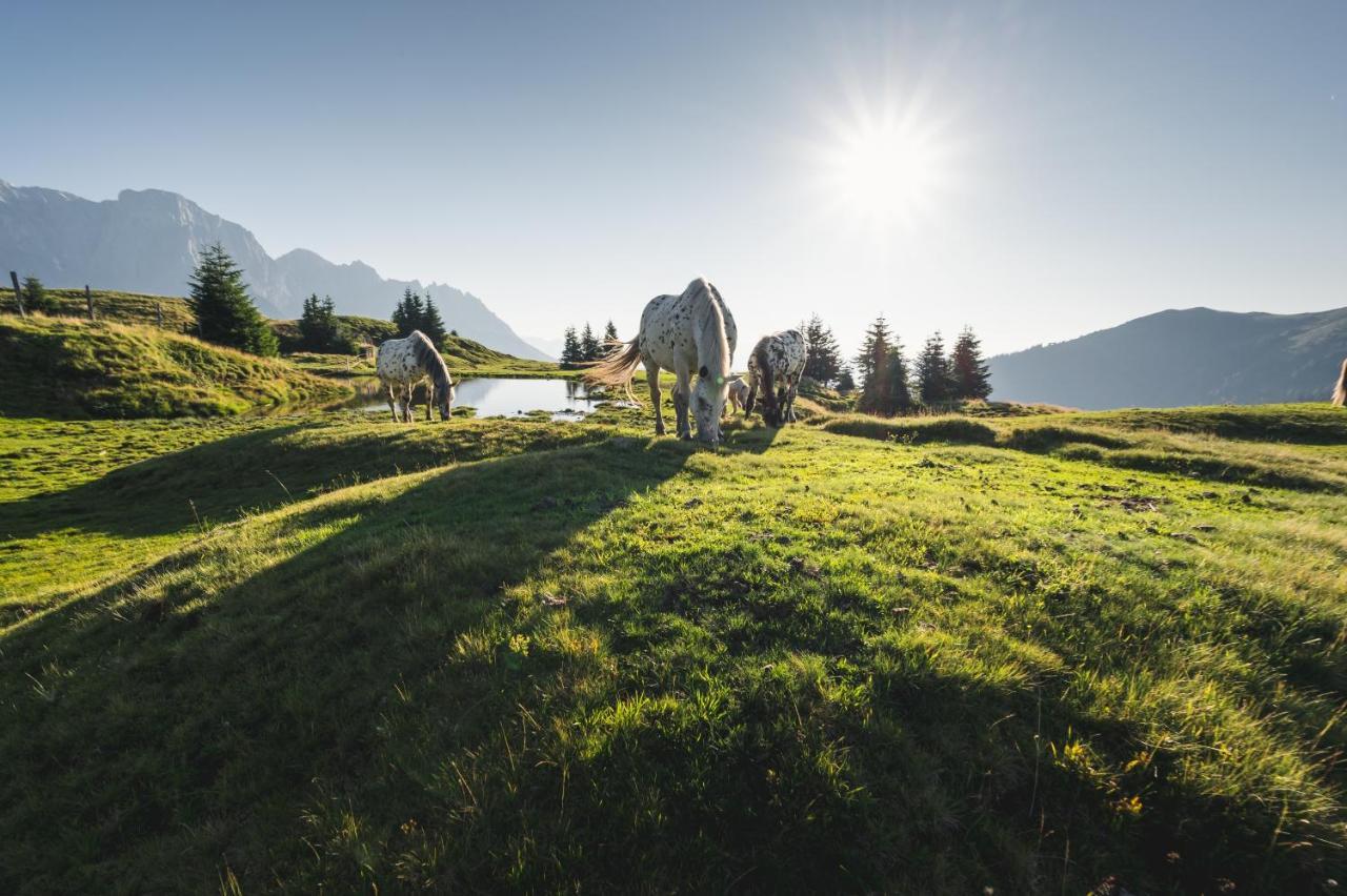 AlpenParks Hotel&Apartment Hochkönig Mühlbach am Hochkönig Exteriör bild